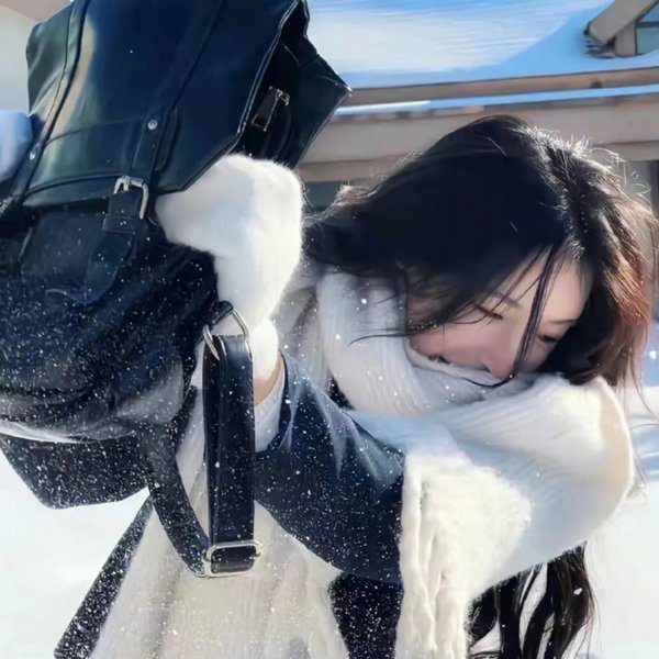 美国兔子的冒险
